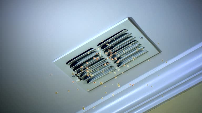 Best Air Vent Cleaning Services  in Lansford, PA