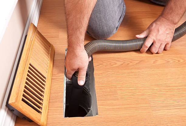 Best Air Duct Mold Removal  in Lansford, PA